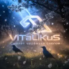 ViTaLiKuS — Сыплет черёмуха снегом