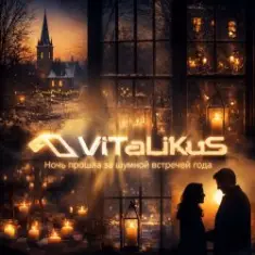 ViTaLiKuS — Ночь прошла за шумной встречей года