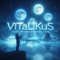 ViTaLiKuS — Сияет яркая полночная луна…