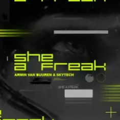Armin van Buuren & Skytech — She A Freak