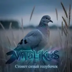 ViTaLiKuS — Стонет сизый голубочек