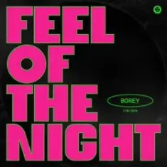 Borey — Feel Of The Night