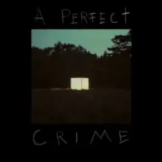 Kovacs — A Perfect Crime