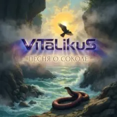 ViTaLiKuS — Песня о Соколе