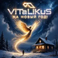 ViTaLiKuS — На Новый год!