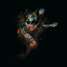 Roniit — Bloom