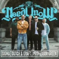 Sigma & Dutch & Graft & Professor Green — NEED U NOW