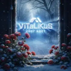 ViTaLiKuS — Снег идёт