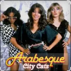 Arabesque — Stupid Boys