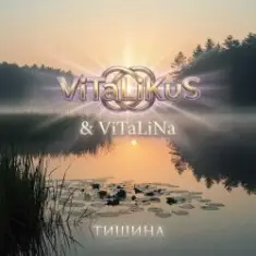 ViTaLiKuS — Тишина