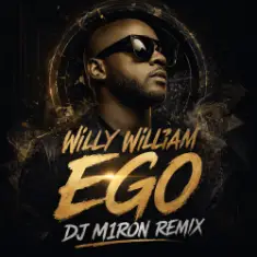 Willy William — Ego (Dj M1ron Remix)