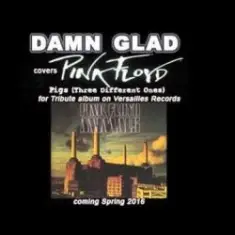 DAMN GLAD — Pigs